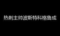 热刺主帅波斯特科格鲁成下课热门