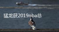 猛龙获2019nba总决赛冠军 勇士输了袁弘儿子安慰父亲