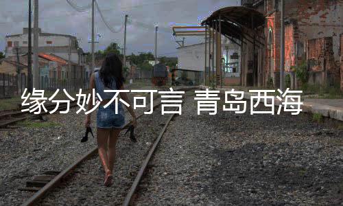 缘分妙不可言 青岛西海岸“一哥”三月内三碰国安