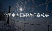 全国室内田径锦标赛总决赛 李玲撑杆跳破纪录未果