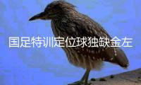 国足特训定位球独缺金左脚 申花中场暂不会离队
