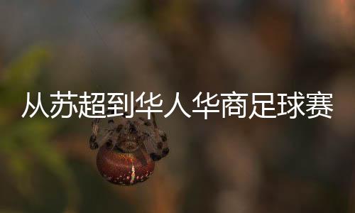 从苏超到华人华商足球赛 足球为什么越业余越火?