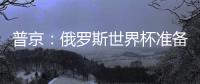 普京：俄罗斯世界杯准备好了 为所有球迷提供舒适环境