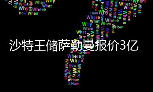 沙特王储萨勒曼报价3亿英镑购买纽卡斯尔联队