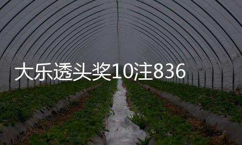 大乐透头奖10注836万1注追加 奖池余额16.61亿