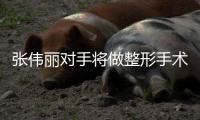 张伟丽对手将做整形手术 乔安娜脸部变形伤势严重