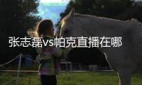 张志磊vs帕克直播在哪里看 张志磊对帕克比赛直播观看平台入口