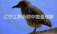 辽宁江苏会师中国垒球联赛总决赛