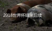 2018世界杯结束后续新闻 球迷滞留俄罗斯事件原因始末